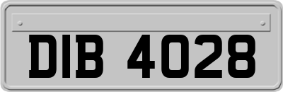DIB4028