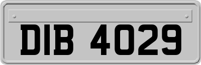 DIB4029