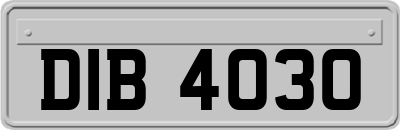 DIB4030