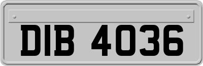 DIB4036