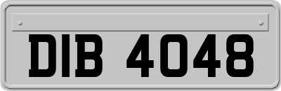 DIB4048