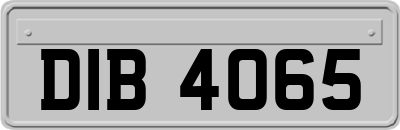 DIB4065
