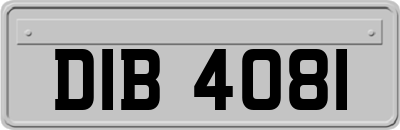 DIB4081