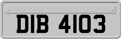 DIB4103