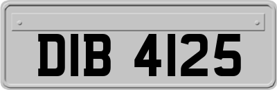 DIB4125