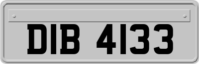 DIB4133