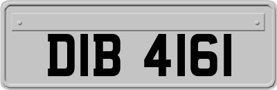 DIB4161