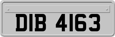 DIB4163