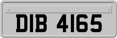 DIB4165