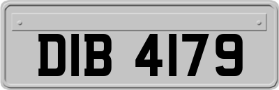 DIB4179