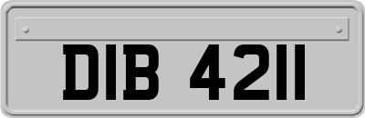 DIB4211