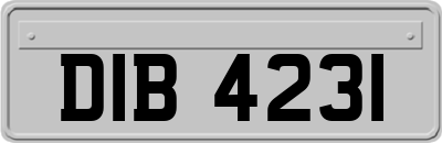DIB4231