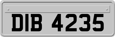 DIB4235