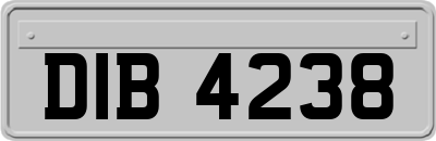 DIB4238