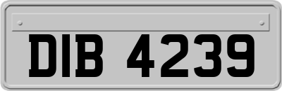 DIB4239