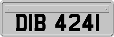 DIB4241