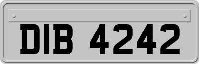 DIB4242