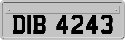 DIB4243