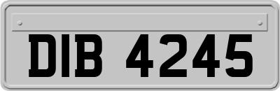 DIB4245