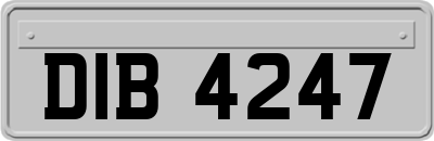 DIB4247