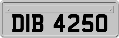 DIB4250