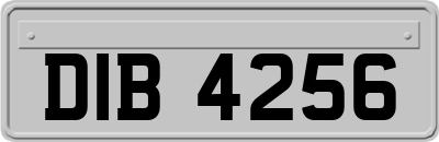 DIB4256