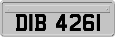 DIB4261