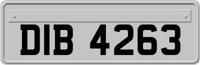 DIB4263