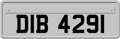 DIB4291