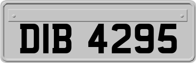 DIB4295