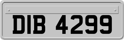 DIB4299