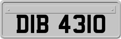 DIB4310