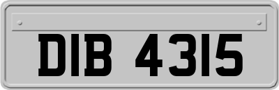 DIB4315