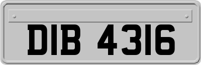 DIB4316