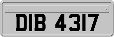 DIB4317