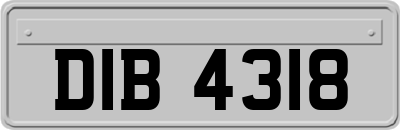 DIB4318