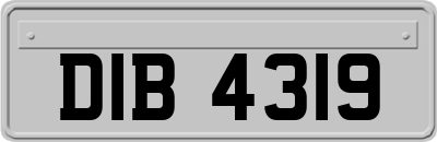 DIB4319