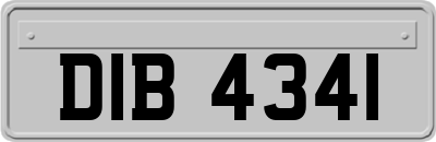 DIB4341