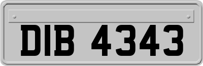 DIB4343