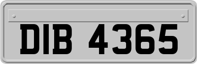 DIB4365