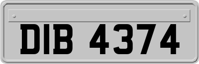 DIB4374