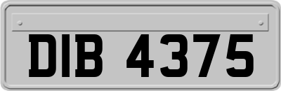DIB4375