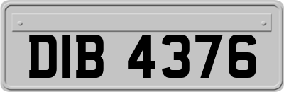 DIB4376