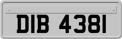 DIB4381