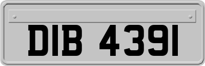 DIB4391