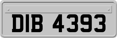 DIB4393