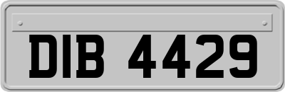 DIB4429