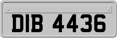 DIB4436