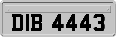 DIB4443