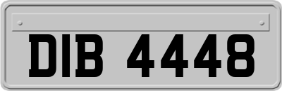 DIB4448